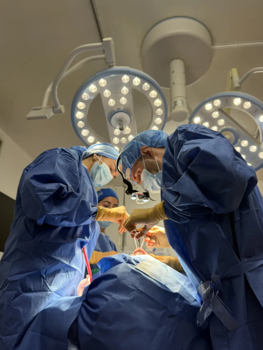 Durante el procedimiento